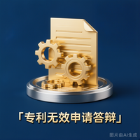 专利无效申请/答辩
